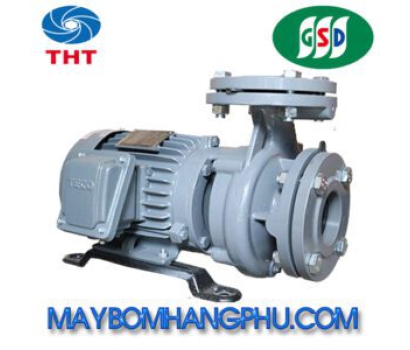MÁY BƠM LY TÂM TRỤC NGANG ĐẦU GANG GSD G3100-150-2P-100HP
